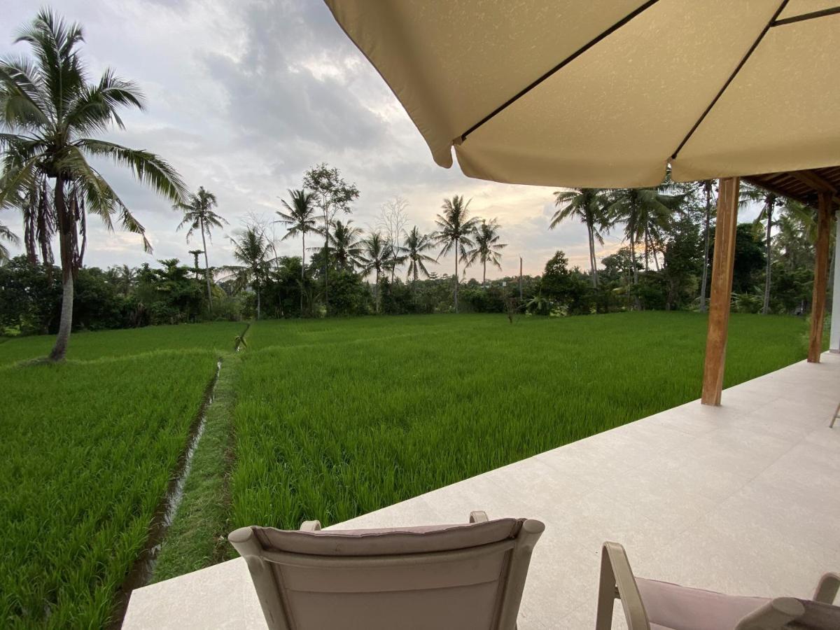 Luxury Villa Ada Padi Ubud One Bed Room المظهر الخارجي الصورة