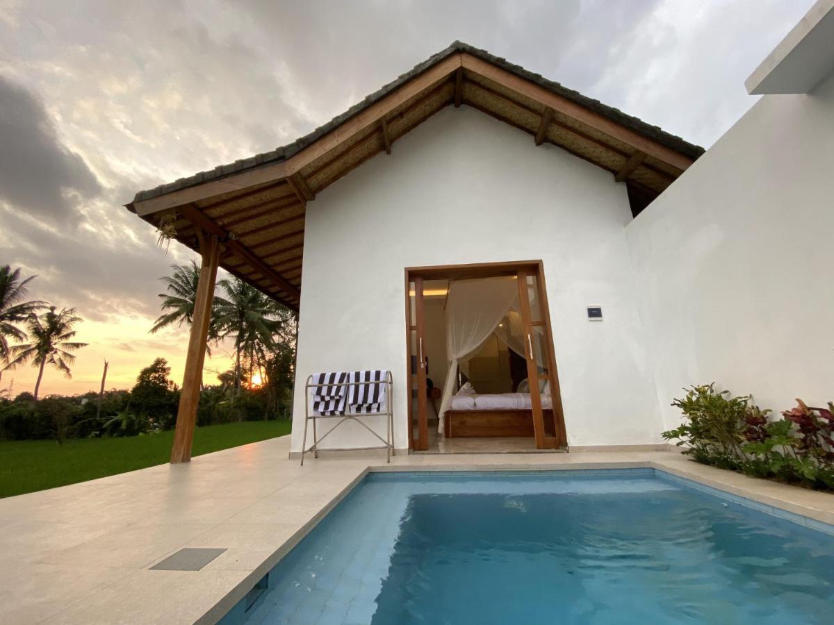 Luxury Villa Ada Padi Ubud One Bed Room المظهر الخارجي الصورة